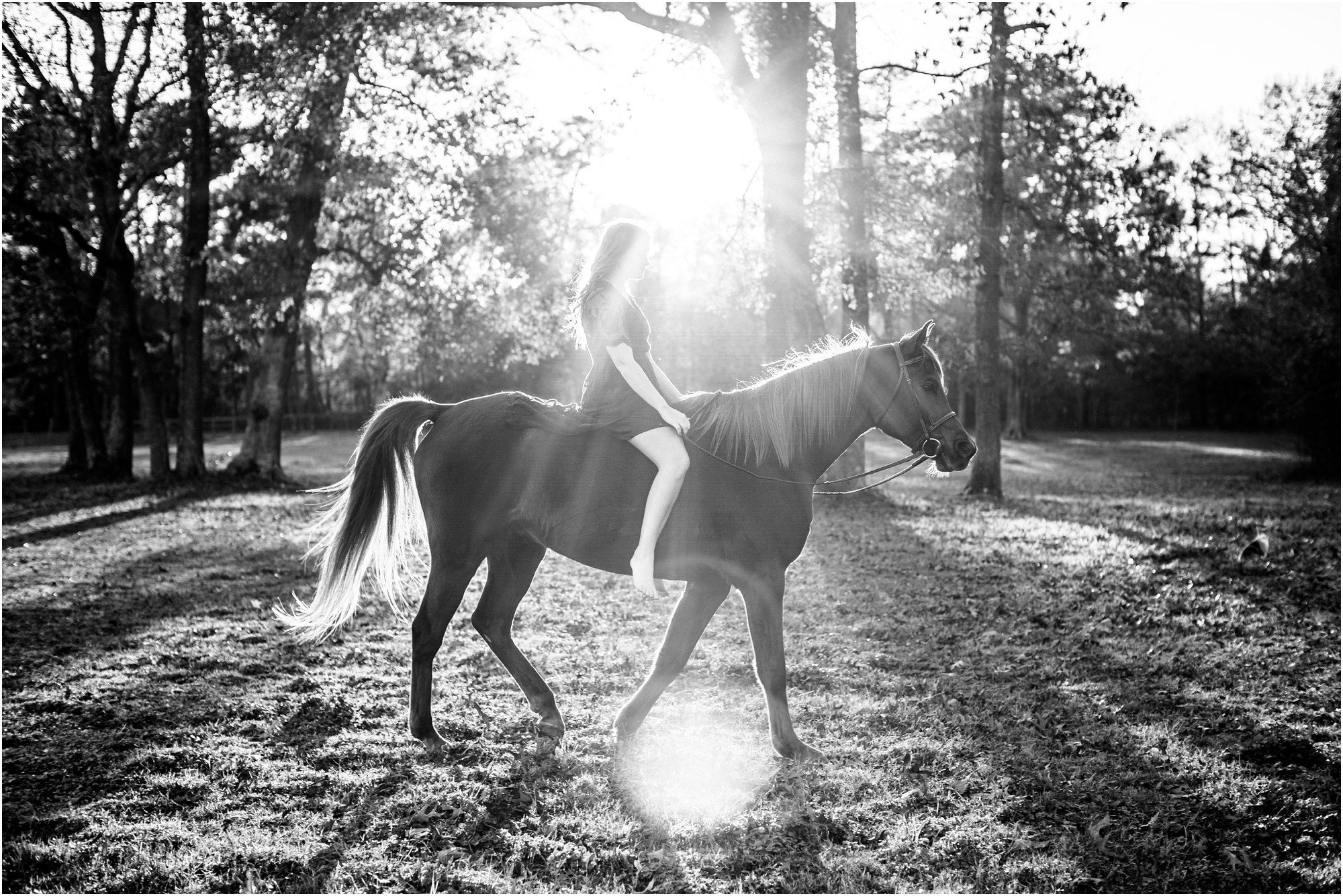 Horse and Rider Photography |Houston, TX | Brooke + Mars | Mindy Larson ...