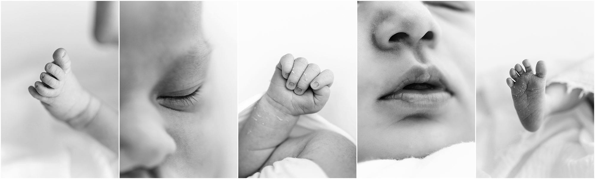 houston newborn photographer_0433.jpg