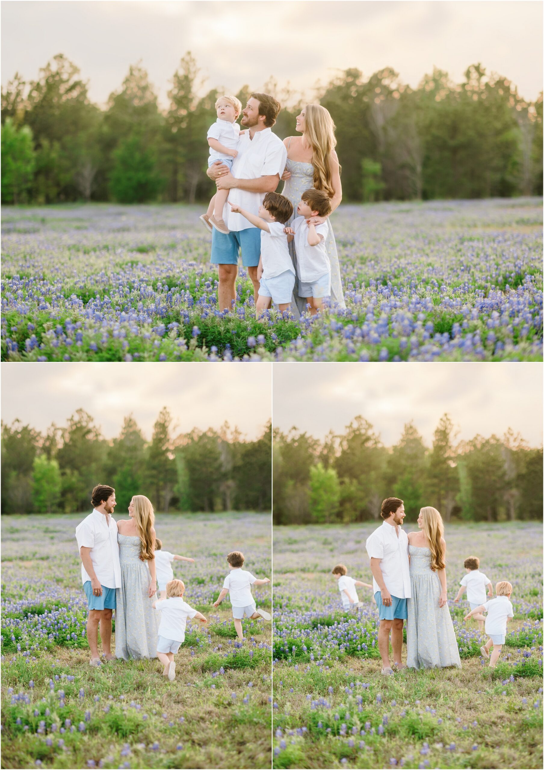 family portraits in the houston texas bluebonnets 